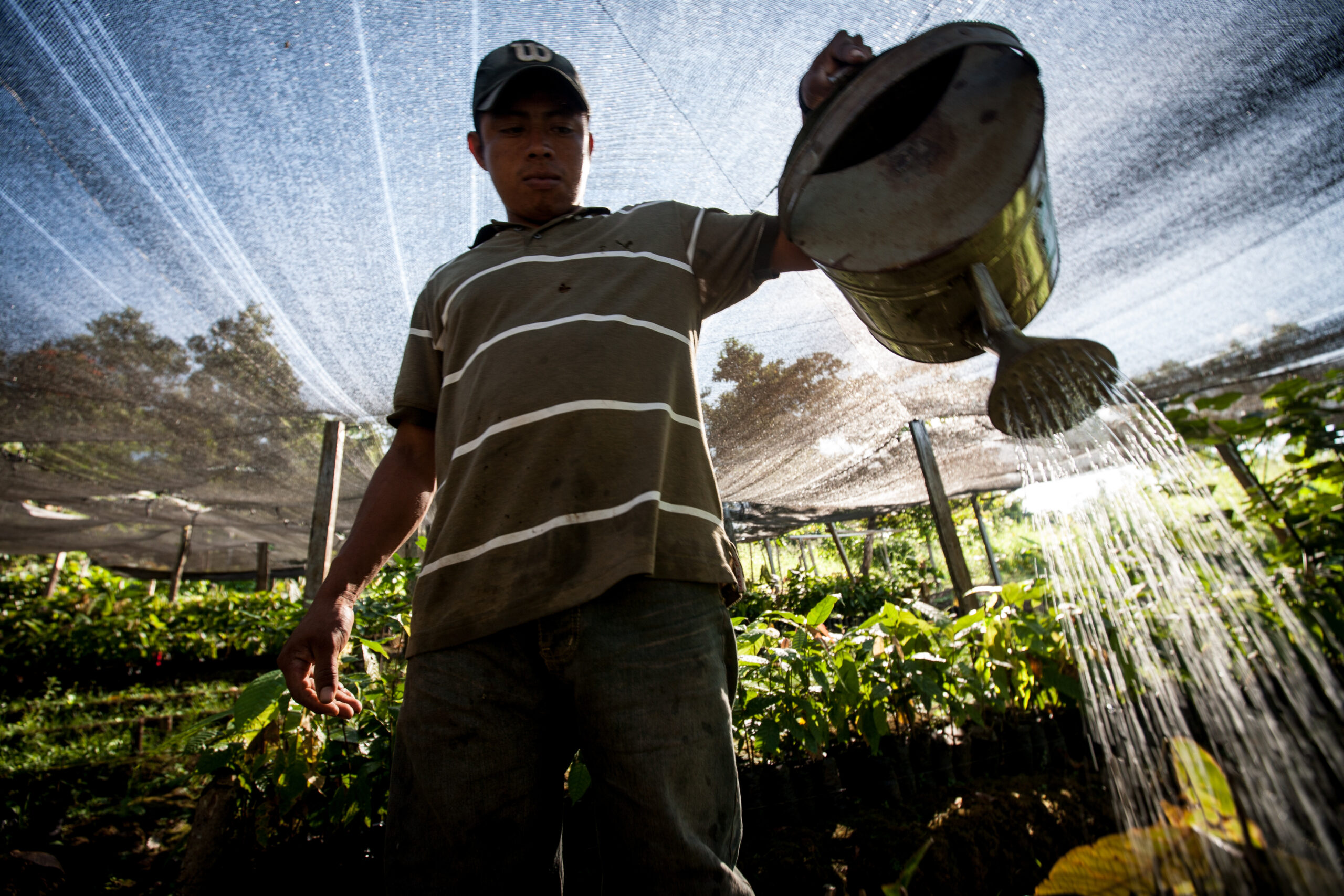 Kestävää viljelyä Nicaraguassa
