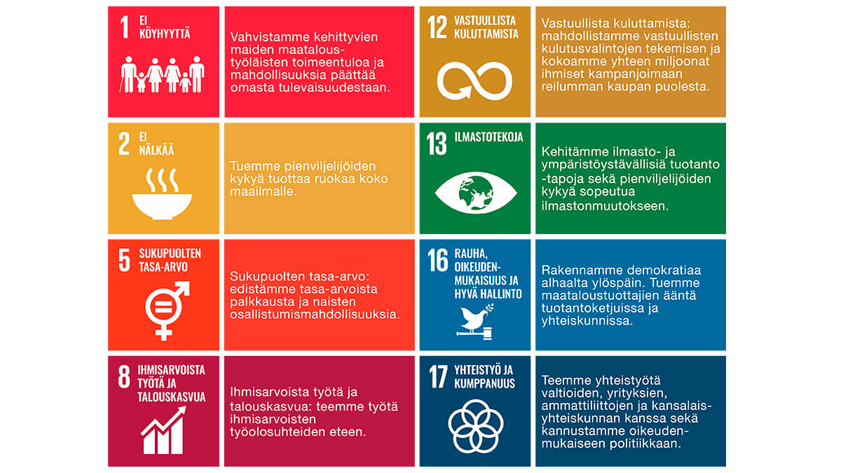 Kest v n Kehityksen Tavoitteet Reilun Kaupan Lis ll Parannetaan 