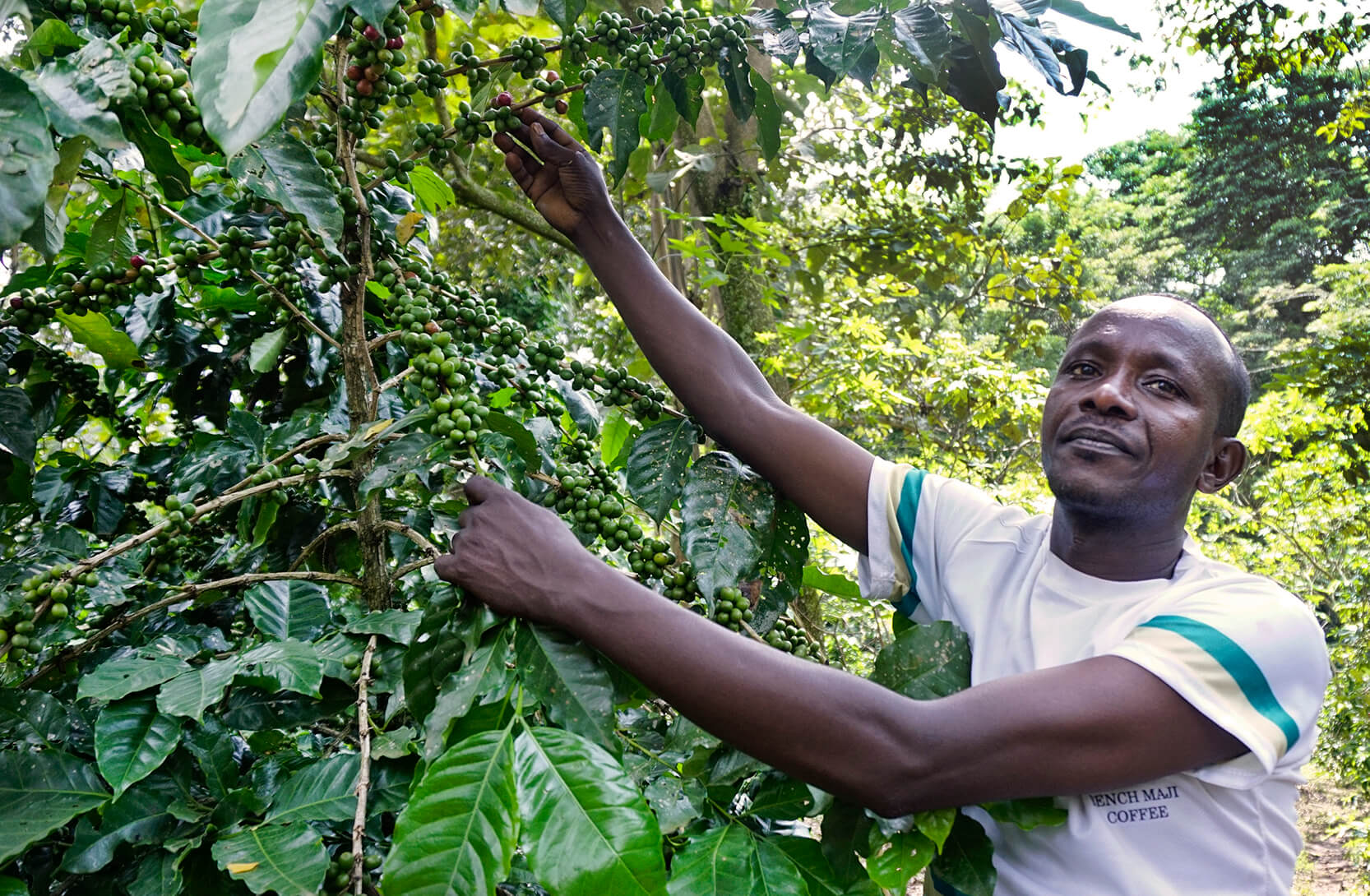 Vastuullisuus ei saa jäädä hintojen nousun jalkoihin. Kuvassa etiopiolainen kahvinviljelijä. Kuva: Reilu kauppa ry/Fairtrade Africa.