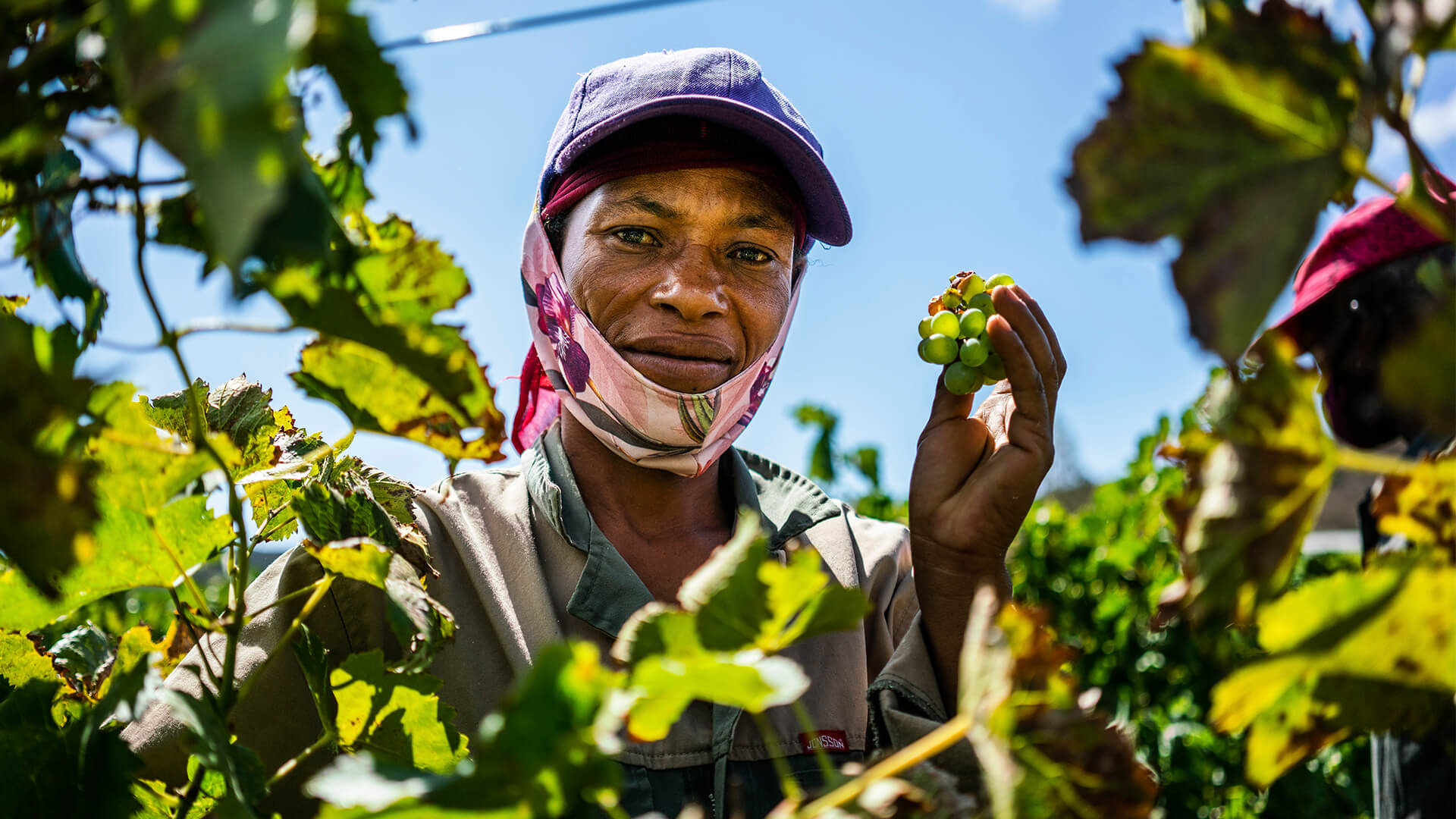 Kuvassa Sharmine Prescense, joka työskentelee Van Loveren -viinitilan työntekijänä Etelä-Afrikassa, jossa valmistetaan Reilun kaupan viiniä. Hänellä on kädessä viinirypäleitä.