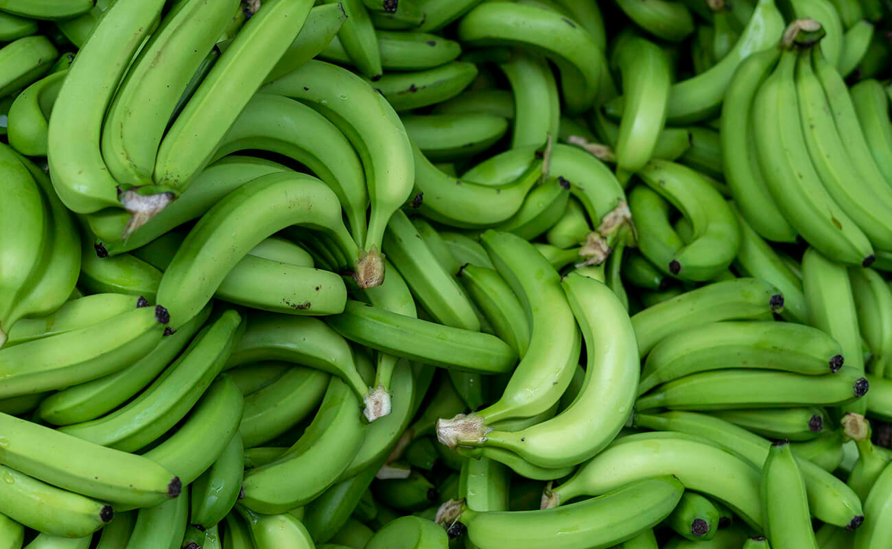 Suuri määrä banaaneja