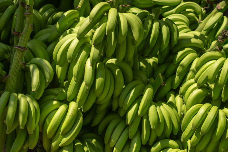 Banaani