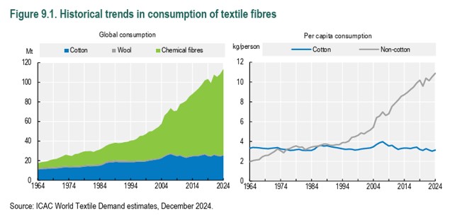 Graafi tekstiilikuitujen globaalista kulutuksesta 1964-2024. Lähde: ICAC World Textile Demand estimates, joulukuu 2024.